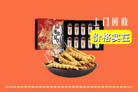 厦门市翔安回收冬虫夏草